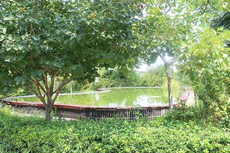 天津远航消防设备销售有限公司机械厂区环境优美